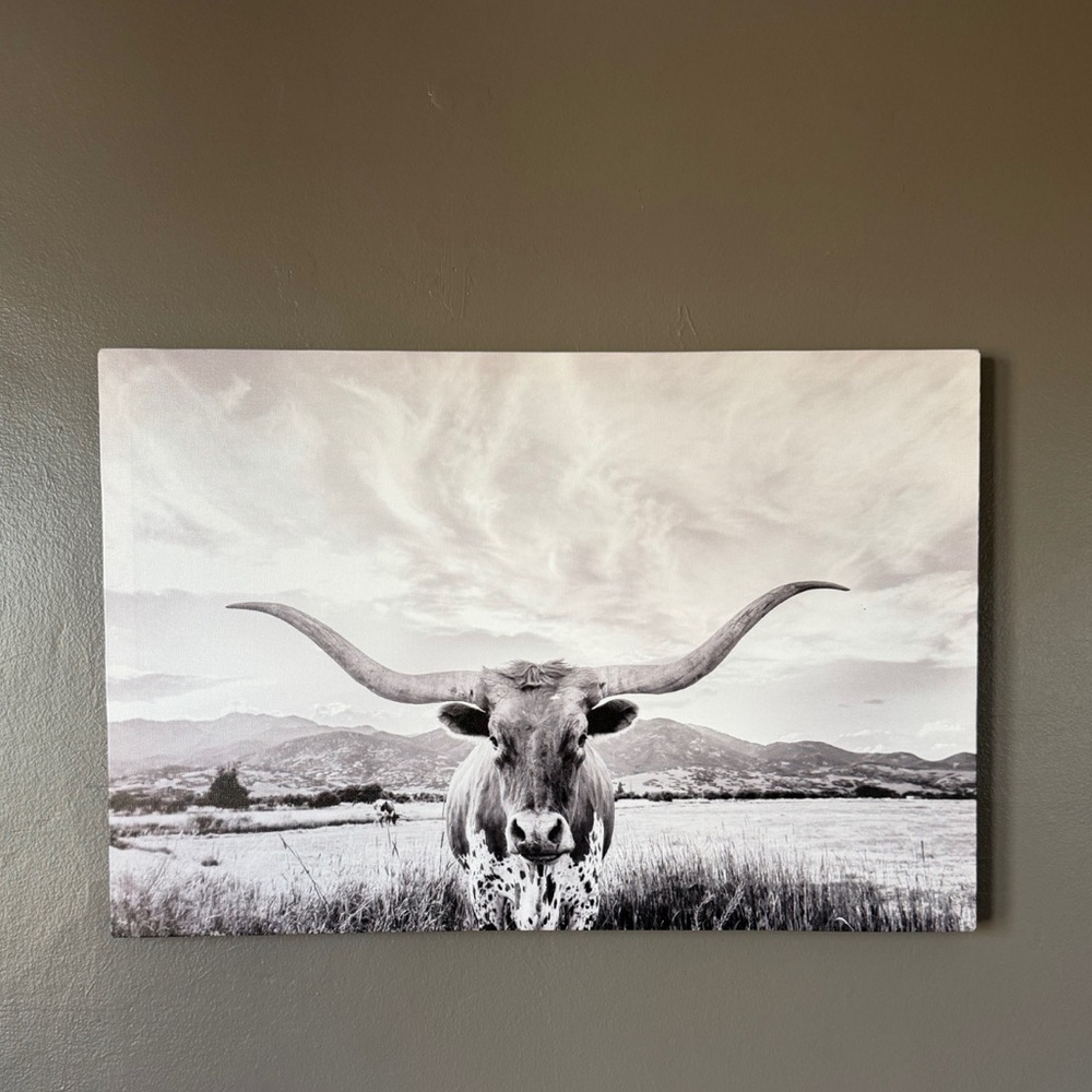Longhorn Canvas
